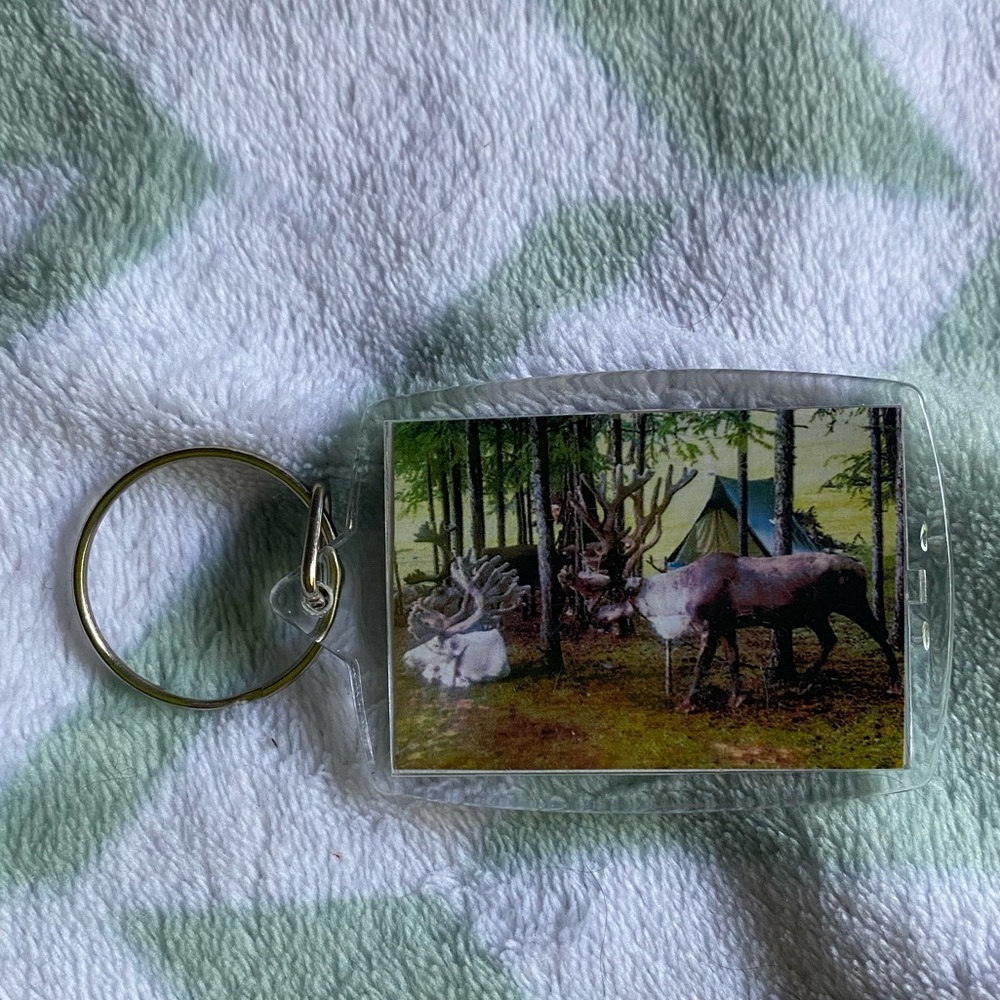 Key chain - Picture 8 of 9